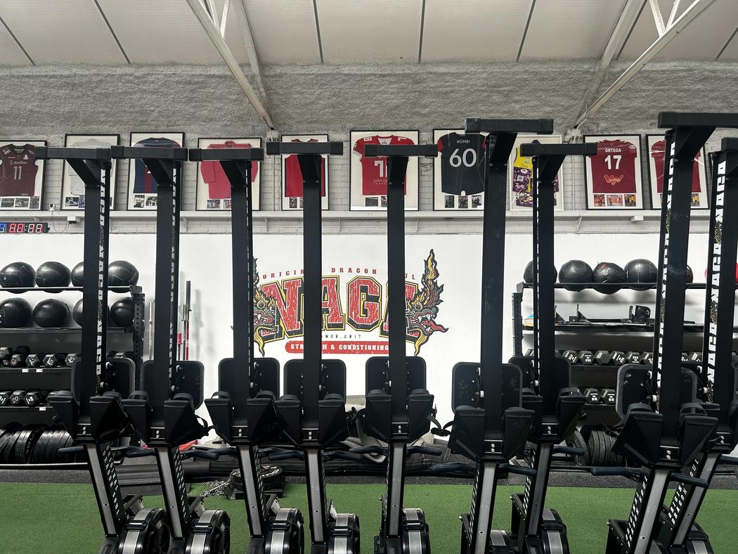 Los remos Concept2, guardados en vertical
