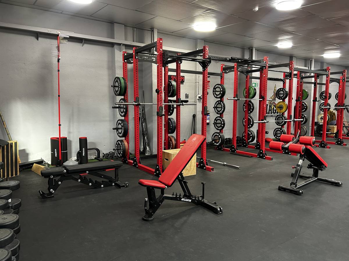 Racks y bancos regulables